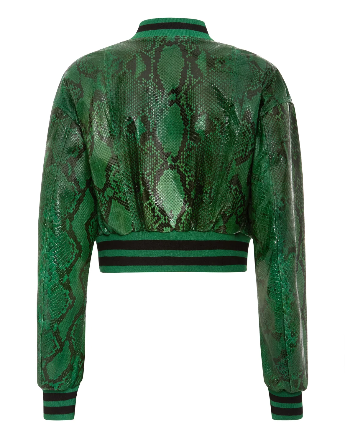 Green Python Bomber Signature, цвет: Зеленый