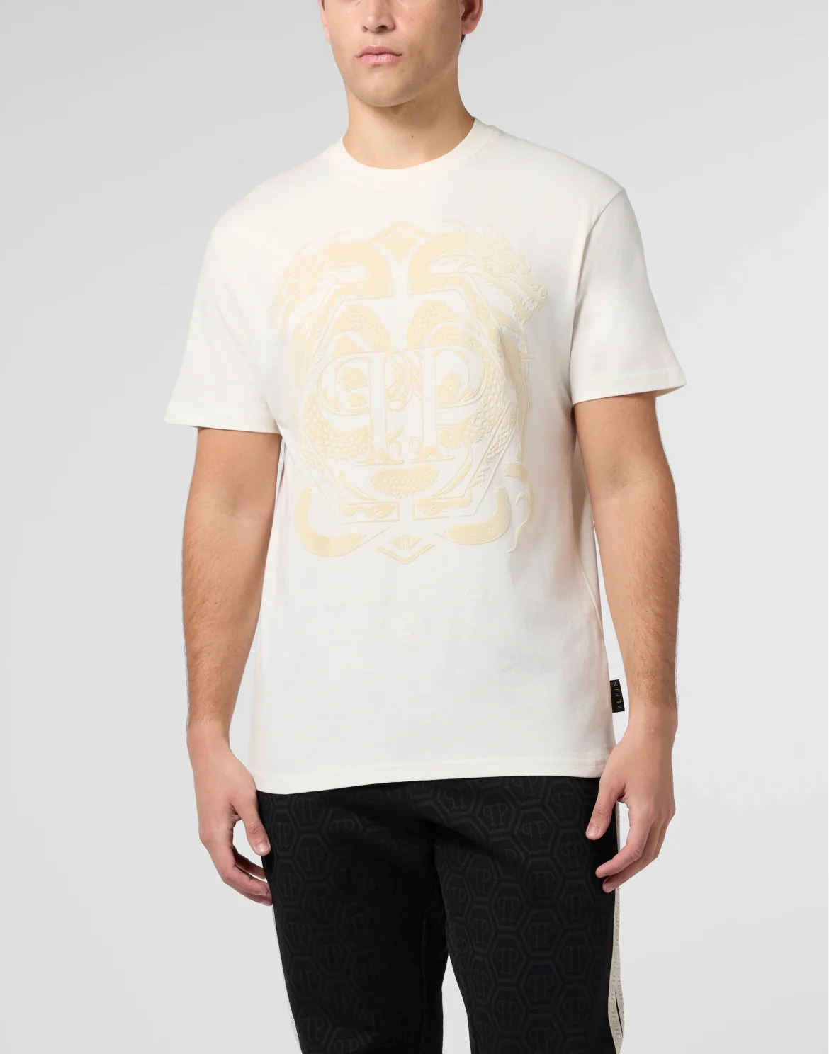 Printed Round Neck T-Shirt Dragon, цвет: Бежевый