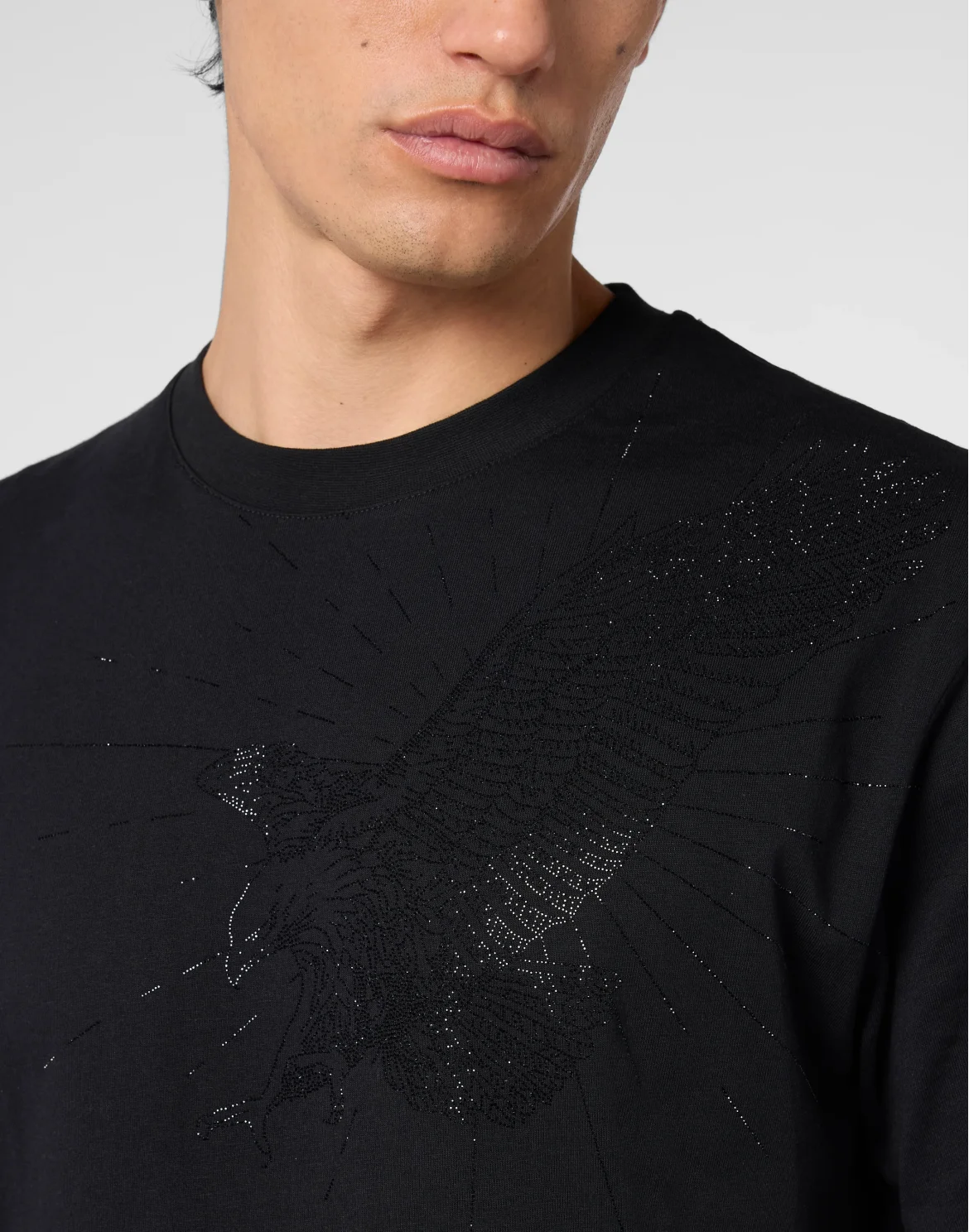 Round Neck T-Shirt Eagle Stones, цвет: Черный