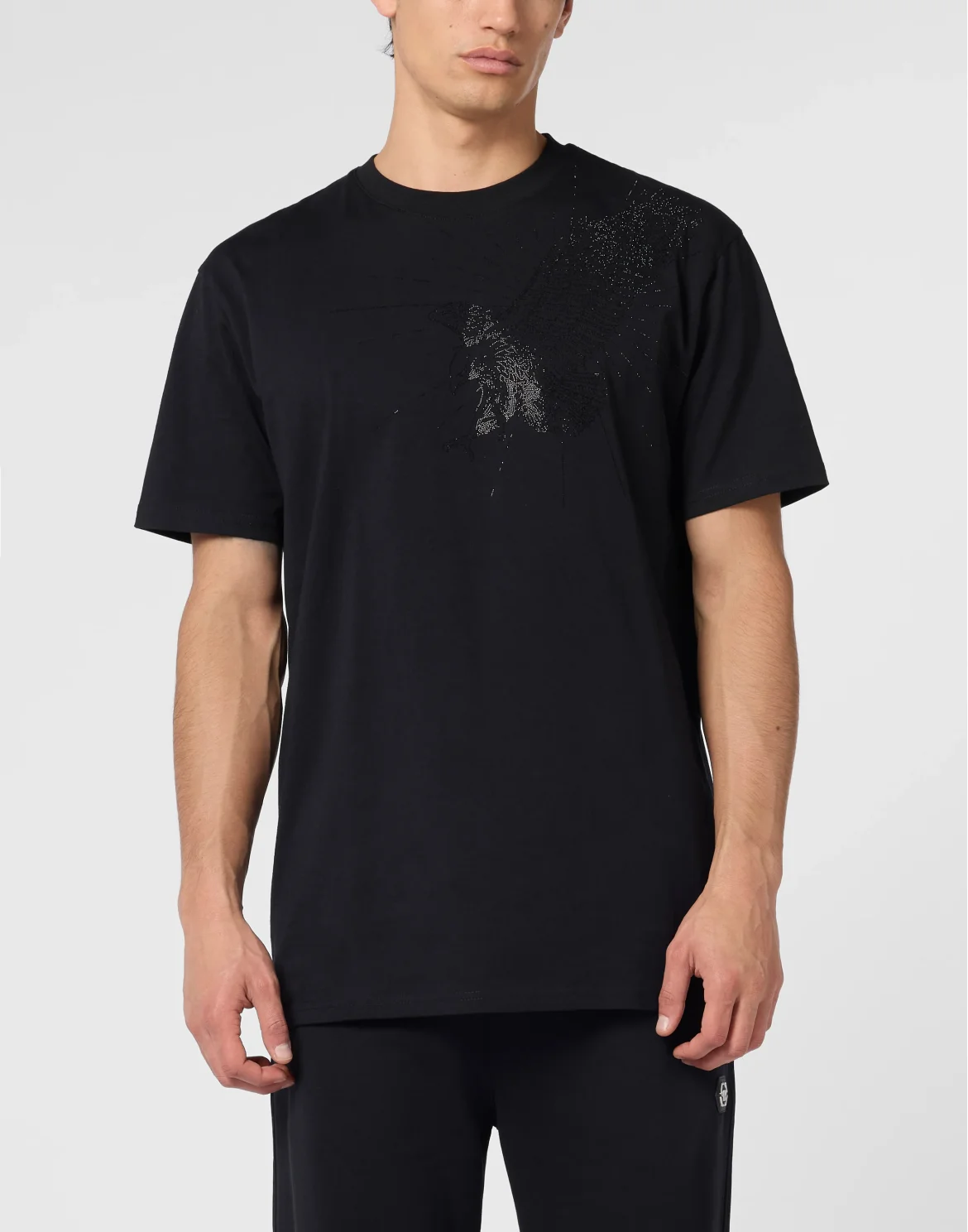 Round Neck T-Shirt Eagle Stones, цвет: Черный