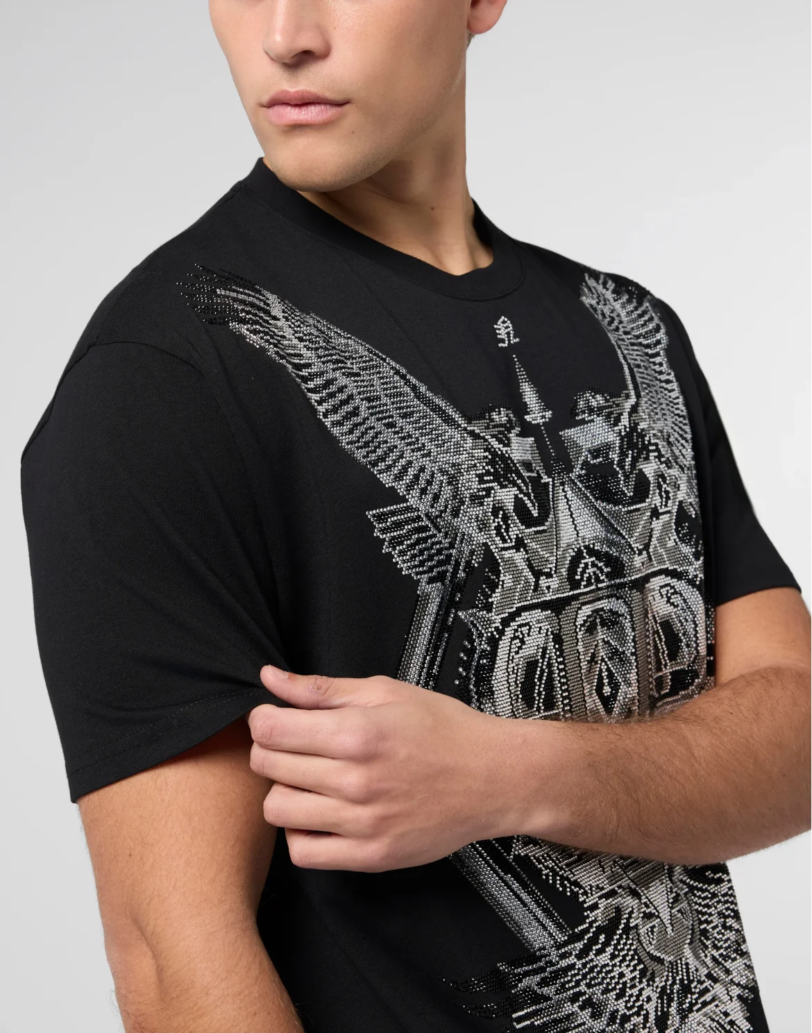 Round Neck T-Shirt Eagles Stones, цвет: Черный