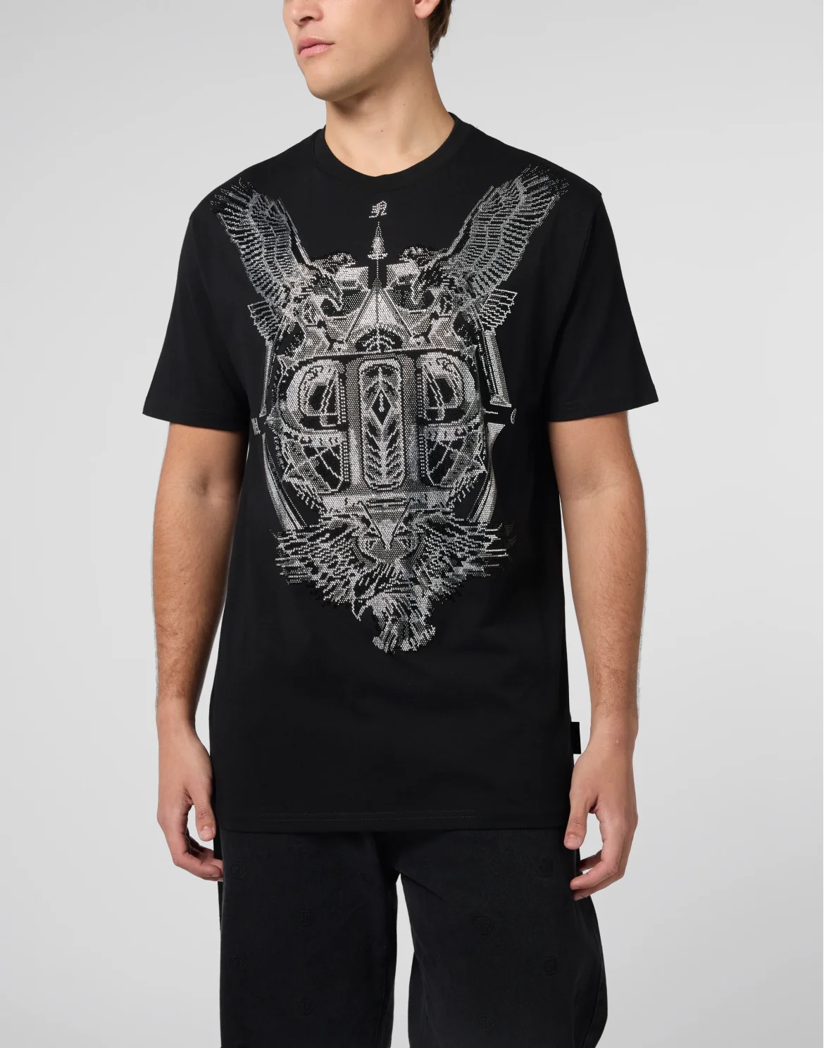 Round Neck T-Shirt Eagles Stones, цвет: Черный