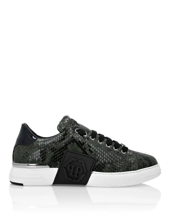 Python Leather Lo-Top Sneakers Hexagon